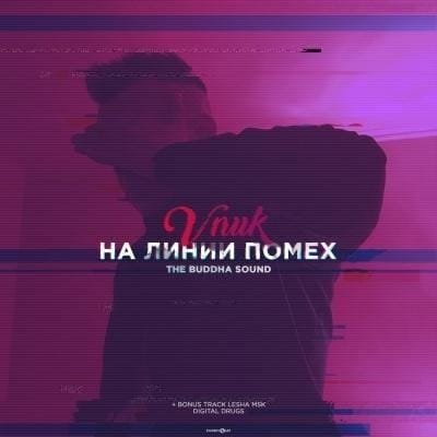 Vnuk «На линии помех»