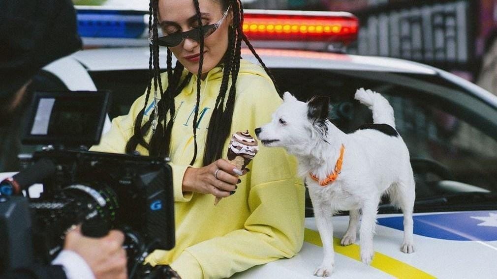 Alyona Alyona, Alina Pash, Стасік та Apache Crew закликають забити на породу