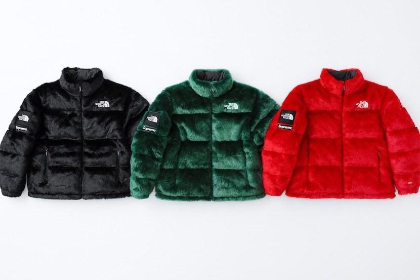 Лукбук: зимняя коллекция от Supreme и The North Face