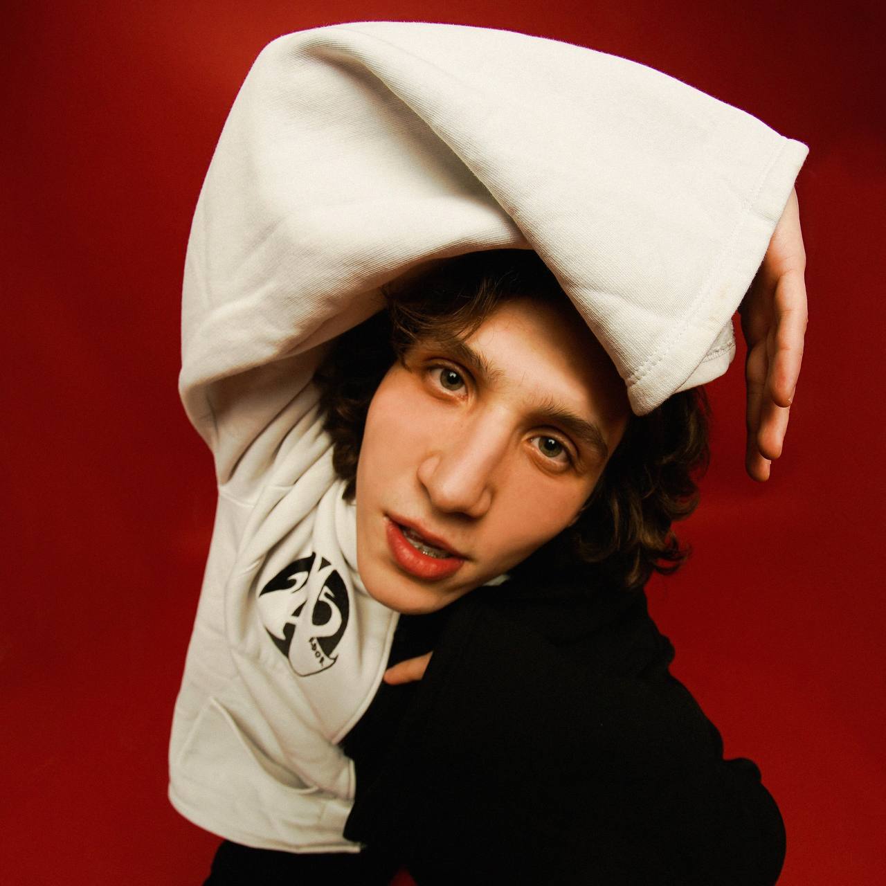 The Curly «mafia»