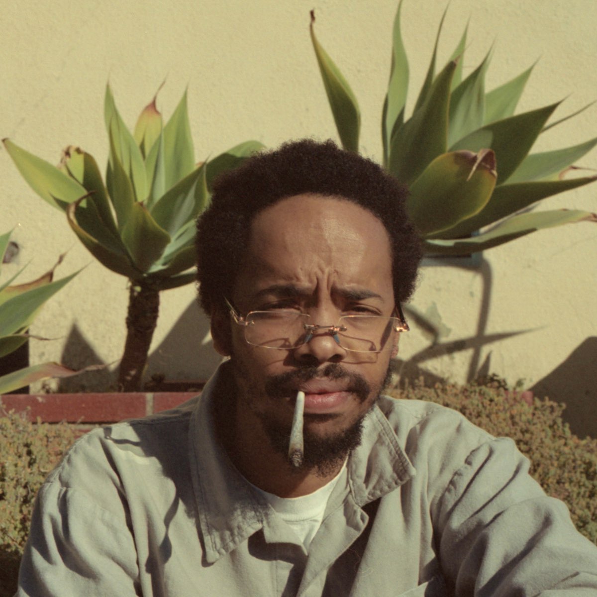 Earl Sweatshirt випустив альбом «Live Laugh Love»