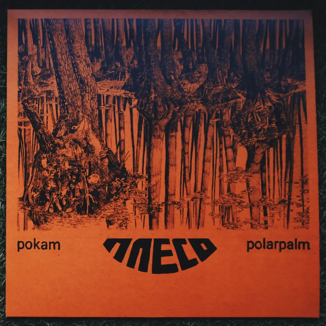 Polarpalm та Покам представили альбом «ПЛЕСО»